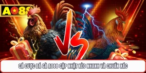 Cá Cược Đá Gà AO88 Cập Nhật Kèo Nhanh Và Chuẩn Xác