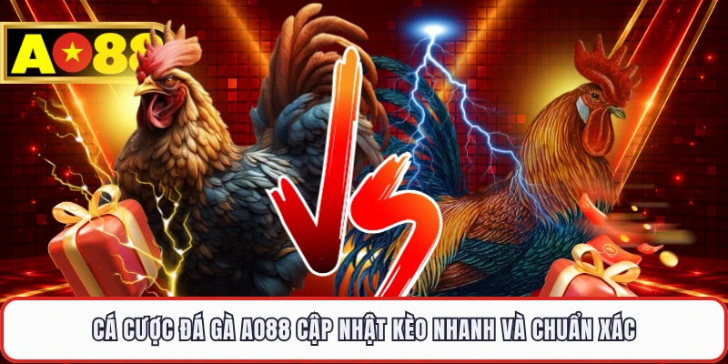 Cá Cược Đá Gà AO88 Cập Nhật Kèo Nhanh Và Chuẩn Xác